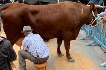 Los Llanos celebra el día grande de sus fiestas (Foto TA)