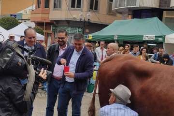 Los Llanos celebra el día grande de sus fiestas (Foto TA)