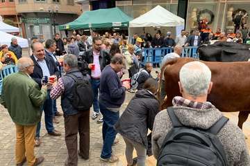 Los Llanos celebra el día grande de sus fiestas (Foto TA)