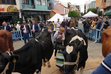 Los Llanos celebra el día grande de sus fiestas (Foto TA)