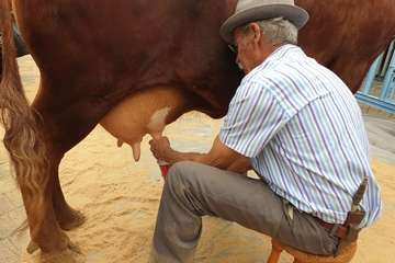Los Llanos celebra el día grande de sus fiestas (Foto TA)