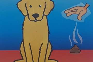  Los vecinos de Costa Jardin toman la iniciativa para mejorar el entorno de su urbanización (Foto TA)