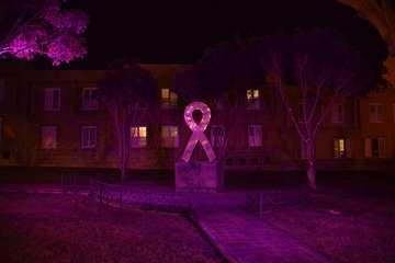 Iluminación especial del Ayuntamiento y Monumento a las Víctimas de la Intolerancia por el 25N (Foto TA)