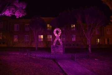 Iluminación especial del Ayuntamiento y Monumento a las Víctimas de la Intolerancia por el 25N (Foto TA)