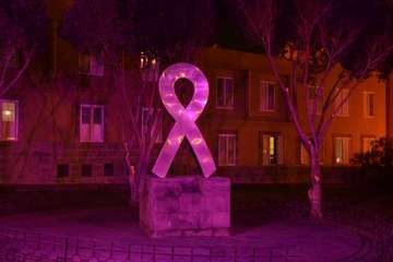 Iluminación especial del Ayuntamiento y Monumento a las Víctimas de la Intolerancia por el 25N (Foto TA)