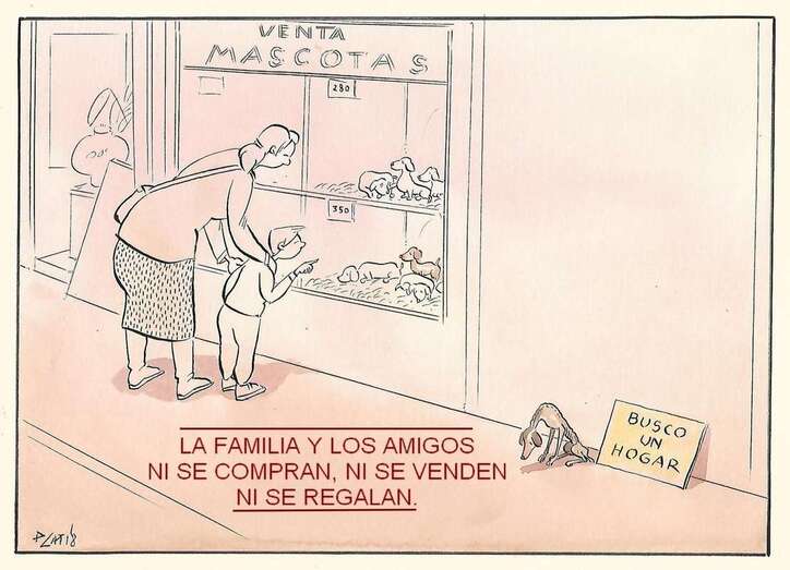 Viñeta de Paco Catalán (Foto TA)