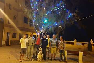 La Plaza de los Pinos se apunta a la Navidad (Foto TA)