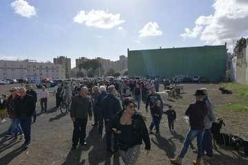 Feria de ganado de las fiestas de Jinámar 2019 (Foto Antonio Alí)