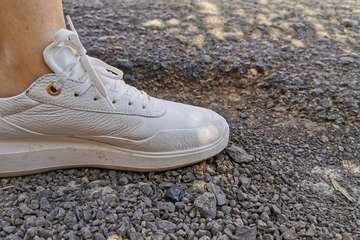 Baches trampa en Caserones Bajos (Foto TA)