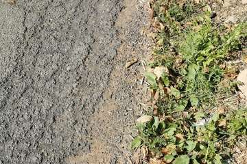 Baches trampa en Caserones Bajos (Foto TA)