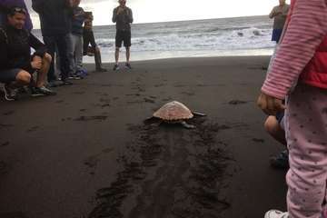 Ruta por la costa en memoria de José Luis González Ruano (Foto Ildefonso Rodríguez y TA)