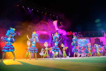 Momento de la actuación de la comparsa infantil Los Diamantes (Foto TA)