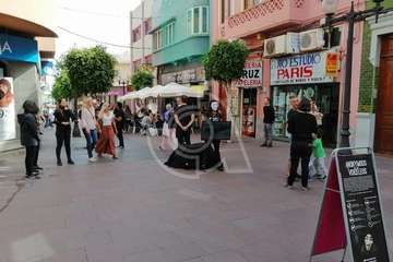  Performance animalista en el casco de Telde (Foto TA)