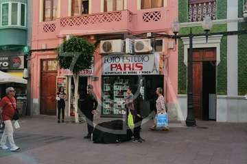 Performance animalista en el casco de Telde (Foto TA)