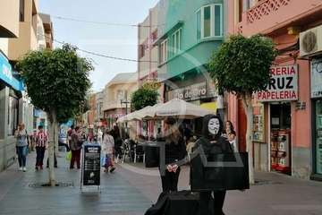  Performance animalista en el casco de Telde (Foto TA)