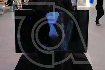  Performance animalista en el casco de Telde (Foto TA)