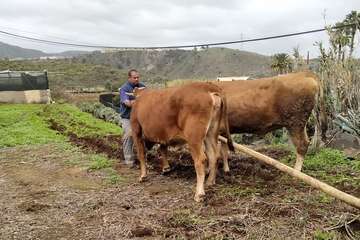 Juan Antonio González dirige a Hermosa y Ligera