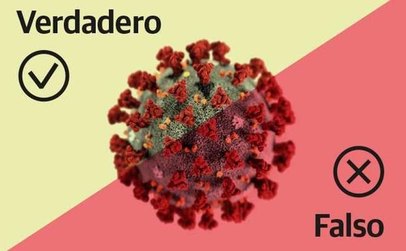 Coronabulos (Foto Multimedia)