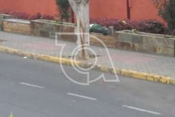 Unos indigentes se saltan a diario la cuarentena en el entorno del Mercado de Telde (Foto TA)