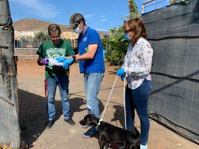 El Cabildo entrega 30 perros que habían sido adoptados antes del estado de alarma y que sus dueños no habían podido llevarse a casa (Foto TA)