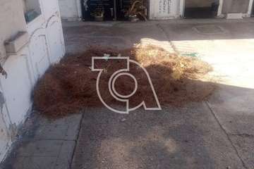 El estado de alarma sume en el abandono a los cementerios de Telde (Foto TA)