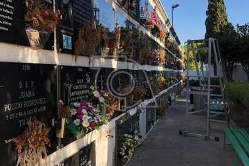 El estado de alarma sume en el abandono a los cementerios de Telde (Foto TA)