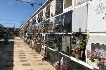 El estado de alarma sume en el abandono a los cementerios de Telde (Foto TA)