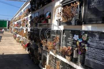 El estado de alarma sume en el abandono a los cementerios de Telde (Foto TA)