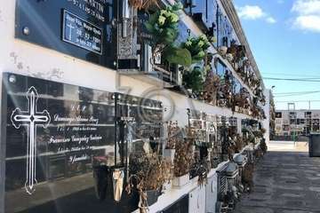 El estado de alarma sume en el abandono a los cementerios de Telde (Foto TA)