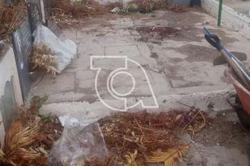 El estado de alarma sume en el abandono a los cementerios de Telde (Foto TA)