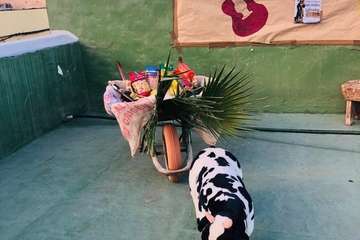 La Pardilla sube a la azotea para festejar a San Isidro Labrador (Foto TA)