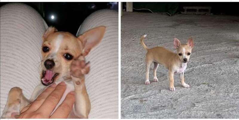 Imágenes de Duna (Foto TA)