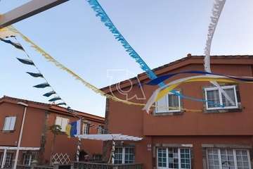 Hoya Pozuelo se engalana por el Día de Canarias (Foto TA)