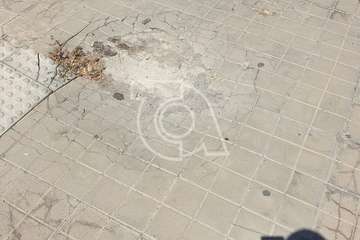 Destrozos en Las Remudas (Foto TA)