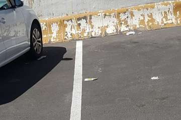  La limpieza brilla por su ausencia en el entorno de la playa de Los Palos, en La Garita (Foto TA)