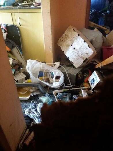 Imagen de la basura acumulada por el vecino denunciado (Foto TA)