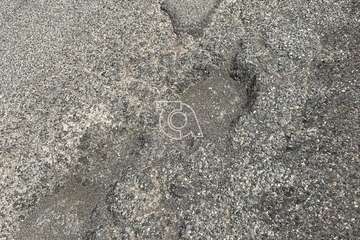 Baches y socavones en la calle de Torriani (Foto TA)