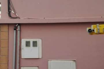 La Barranquera denuncia una plaga de pulgas asociada a una 