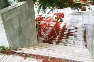 San Antonio reclama la limpieza del parque de la calle Tormento (Foto TA)