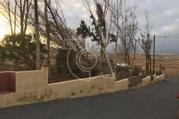 La Montañeta de Ojos de Garza reclama atención para los pinos de una zona ajardinada pública/TA.