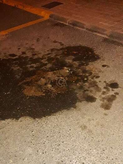 Gato en descomposición en la calle de Bélgica/TA.