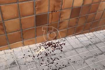 Manchas de sangre en la acera y fachada de un inmueble/TA.