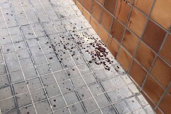 Manchas de sangre en la acera y fachada de un inmueble/TA.
