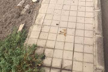  La calle Torricelli, en Casas Nuevas, patrón de la suciedad/TA.