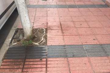  La calle Torricelli, en Casas Nuevas, patrón de la suciedad/TA.