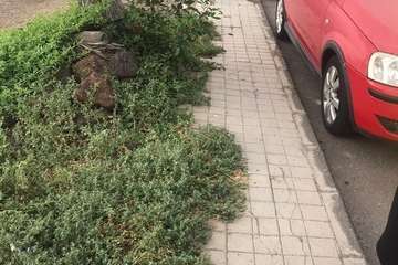  La calle Torricelli, en Casas Nuevas, patrón de la suciedad/TA.