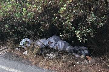 Lomo Blanco limpia las cunetas del acceso por la zona industrial de Maipez/TA.