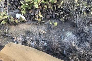 Lomo Blanco limpia las cunetas del acceso por la zona industrial de Maipez/TA.