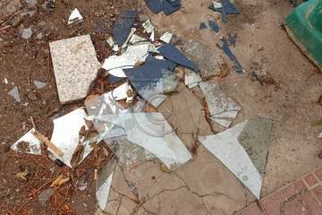 Estercolero en una céntrica calle de Telde/TA.