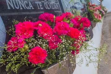 La pandemia merma la visita de familiares a los cementerios de Telde para rendir homenaje a sus difuntos/TA.